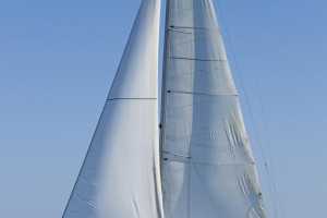 Slika 1